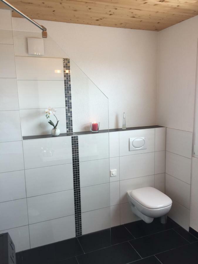 Uhldingen-Mühlhofen Ferienwohnung Haag מראה חיצוני תמונה